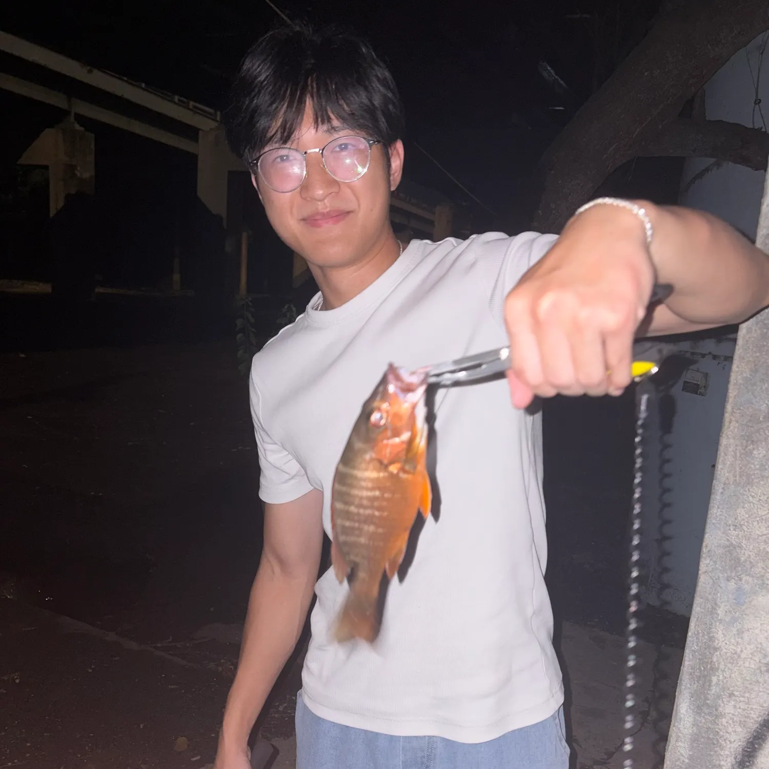 Mangrove snapper caught on Fishbrain