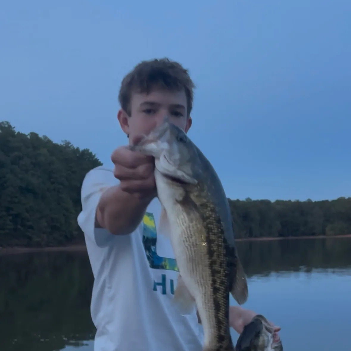 Spotted bass caught on Fishbrain
