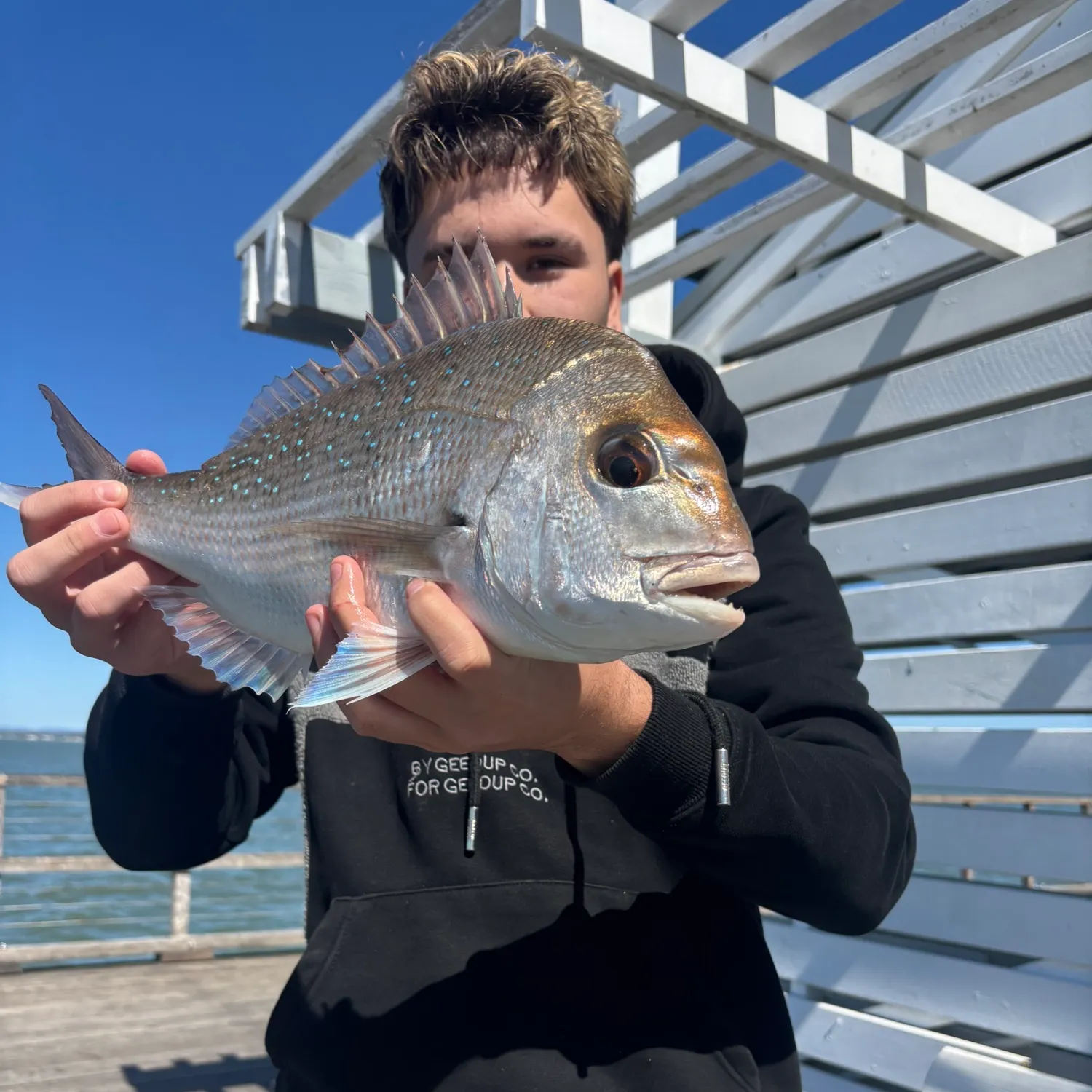 Australasian snapper caught on Fishbrain
