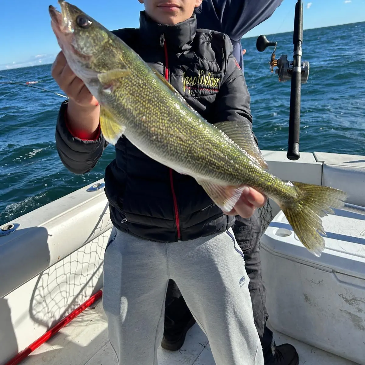 Walleye caught on Fishbrain