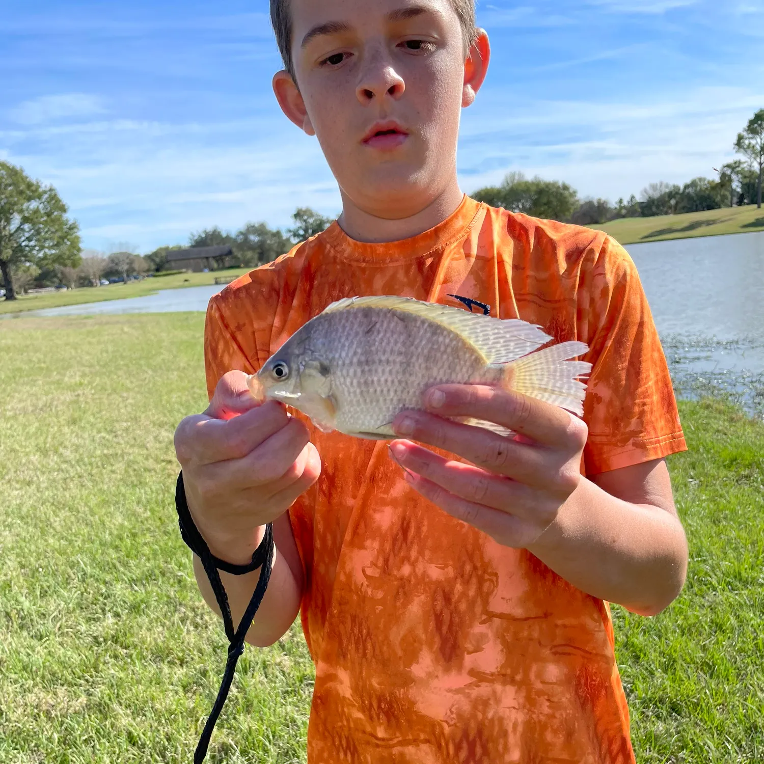 The most recent Nile tilapia catches on Fishbrain