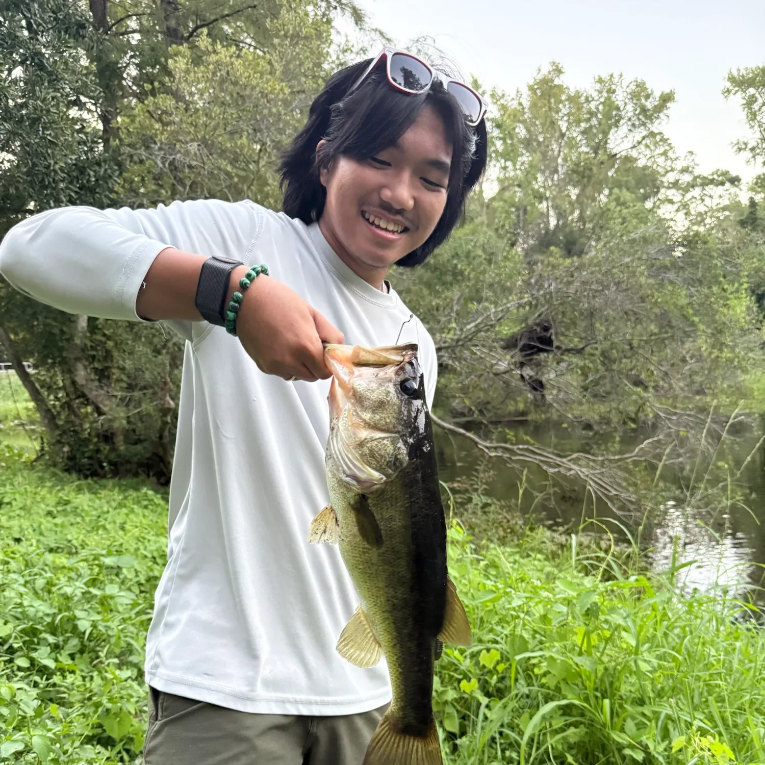 Largemouth bass caught on Fishbrain