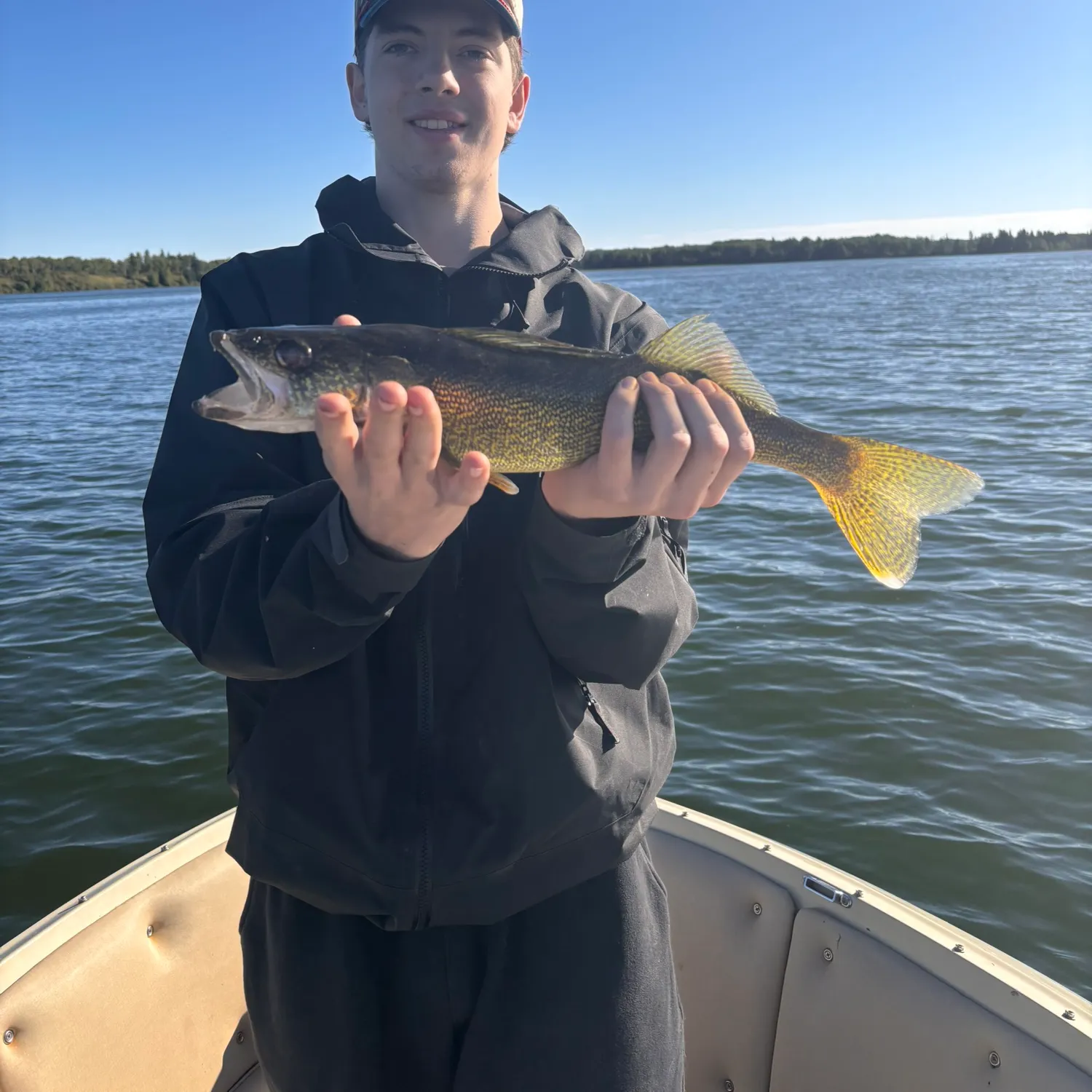 Walleye caught on Fishbrain