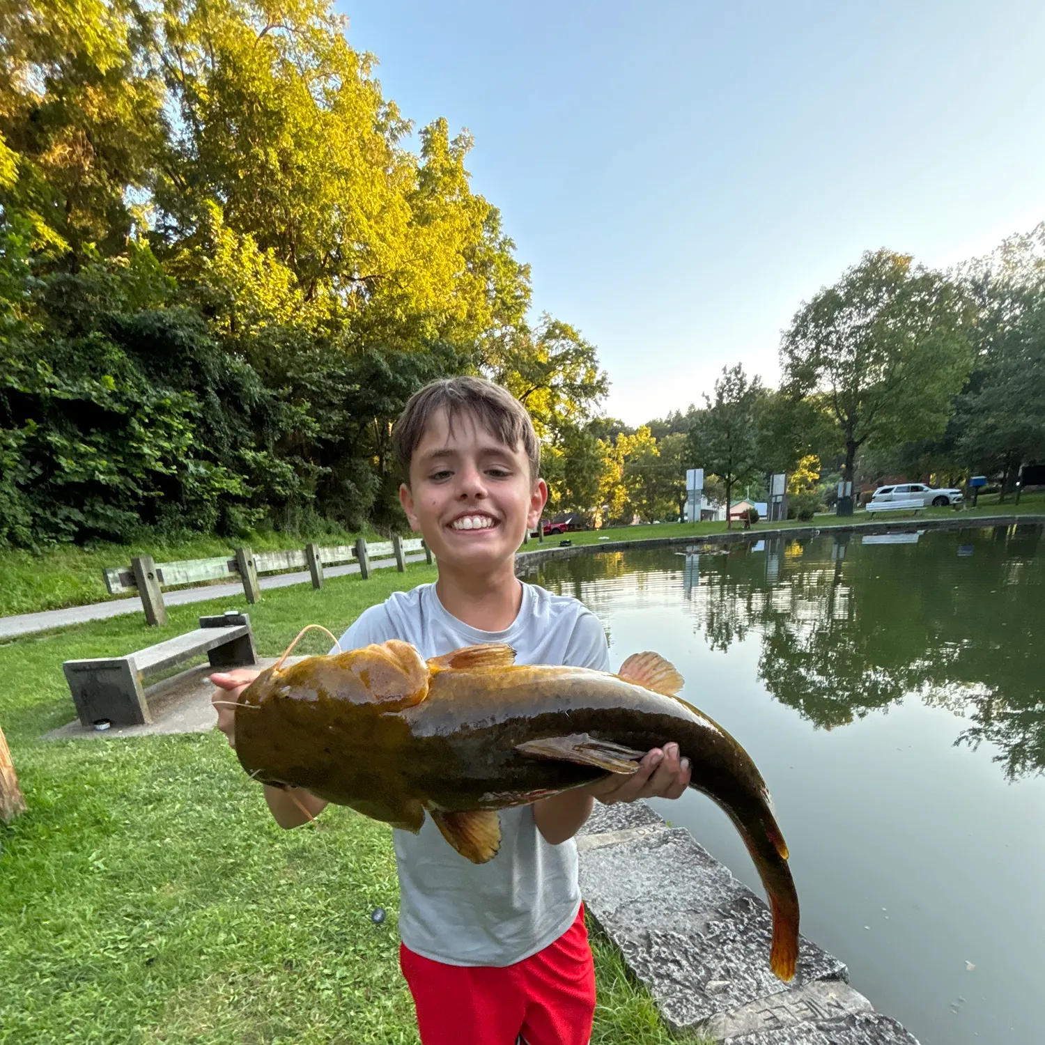 Flathead catfish caught on Fishbrain