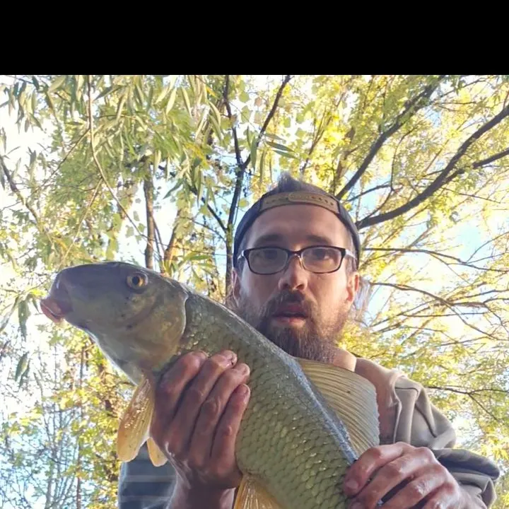 Fish caught on Fishbrain