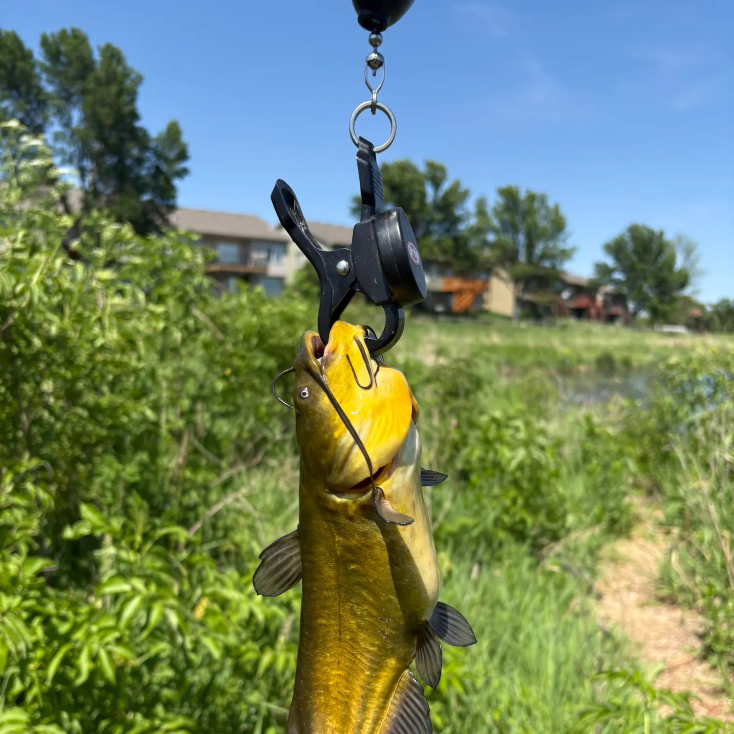 catch