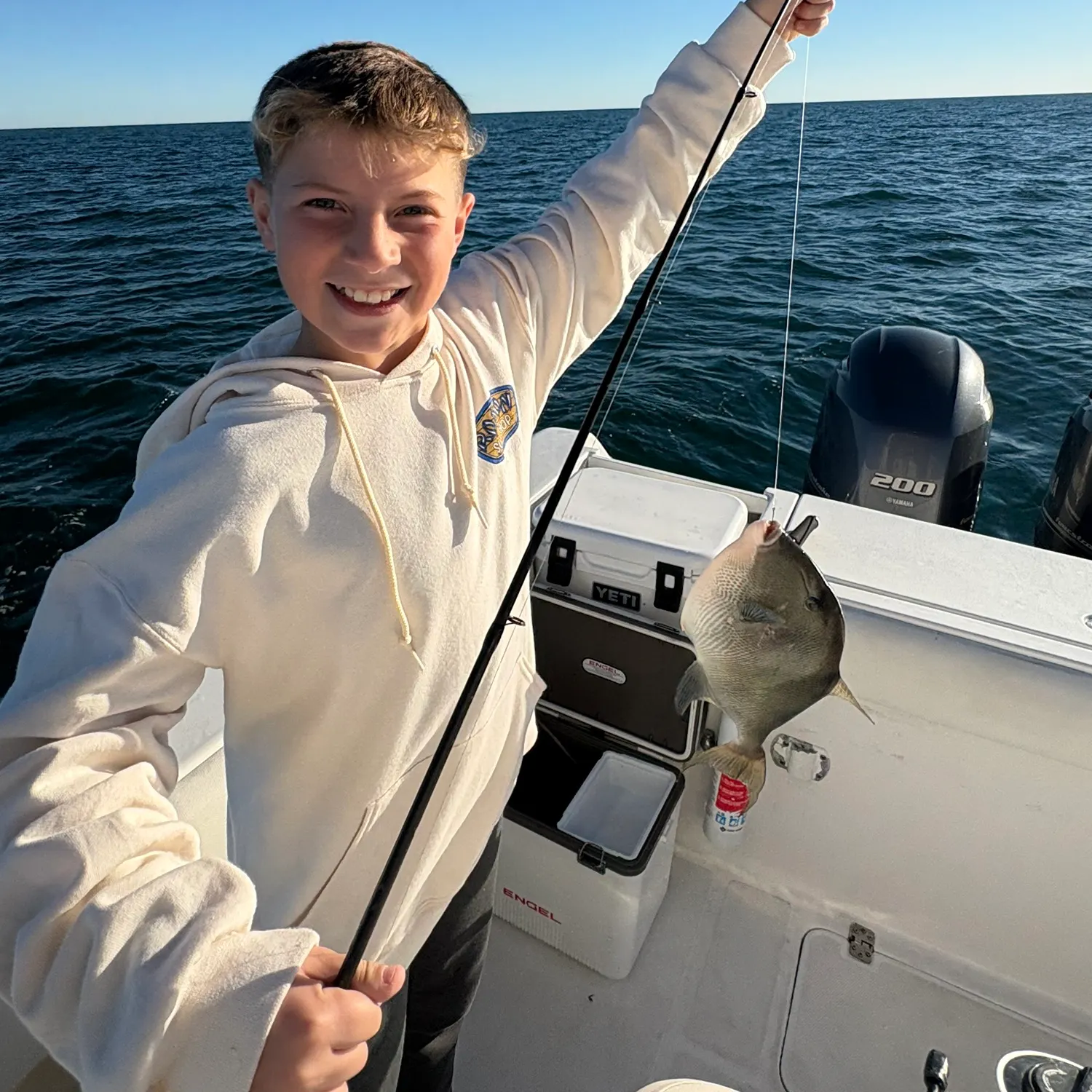 The most recent Grey triggerfish catches on Fishbrain