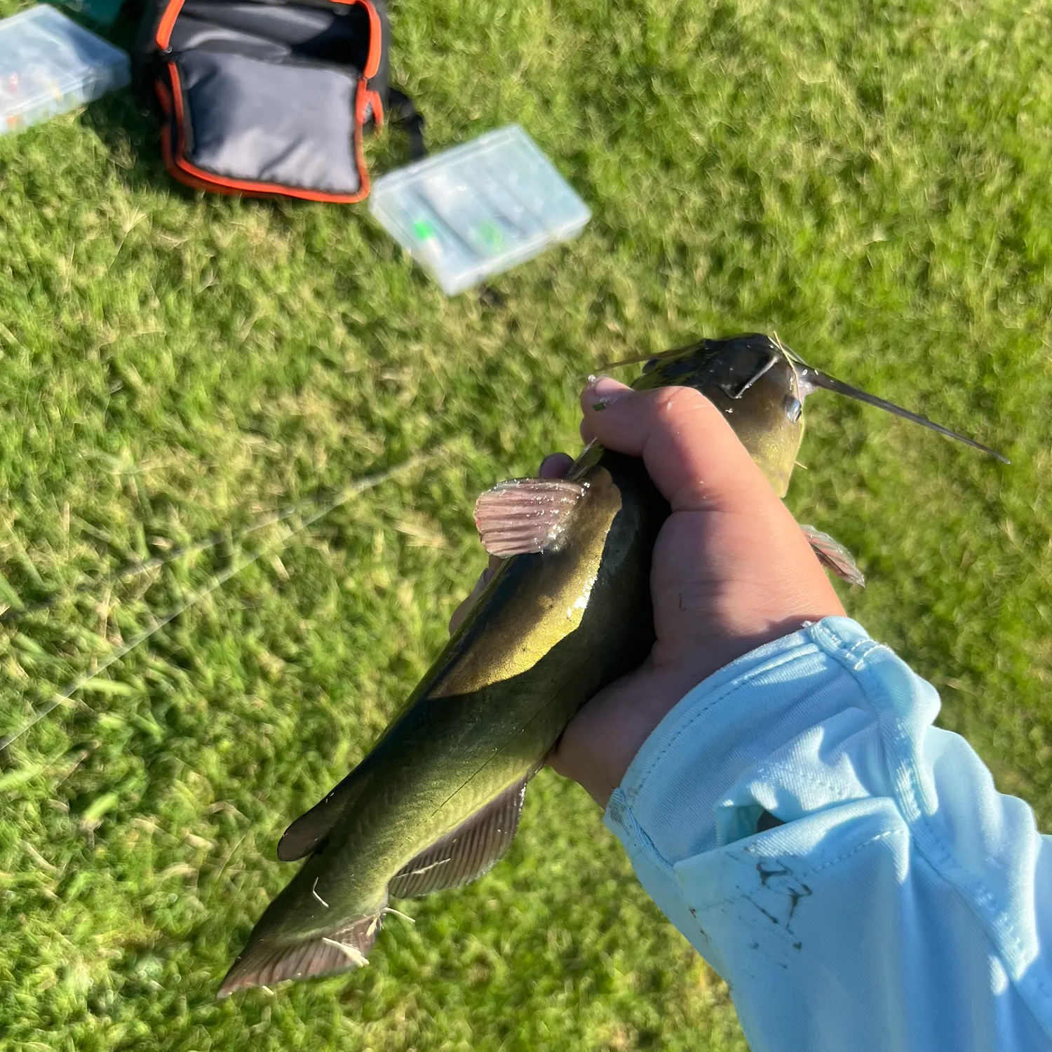 catch