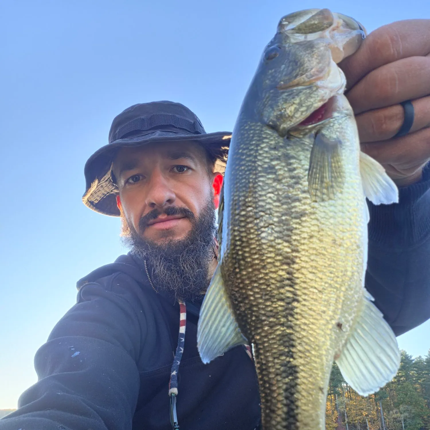Largemouth bass caught on Fishbrain
