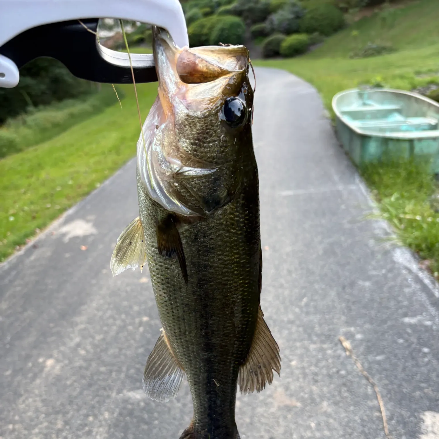 catch