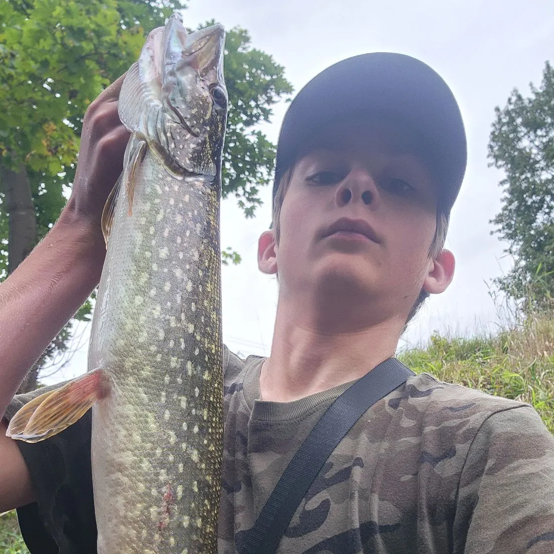 Northern pike caught on Fishbrain
