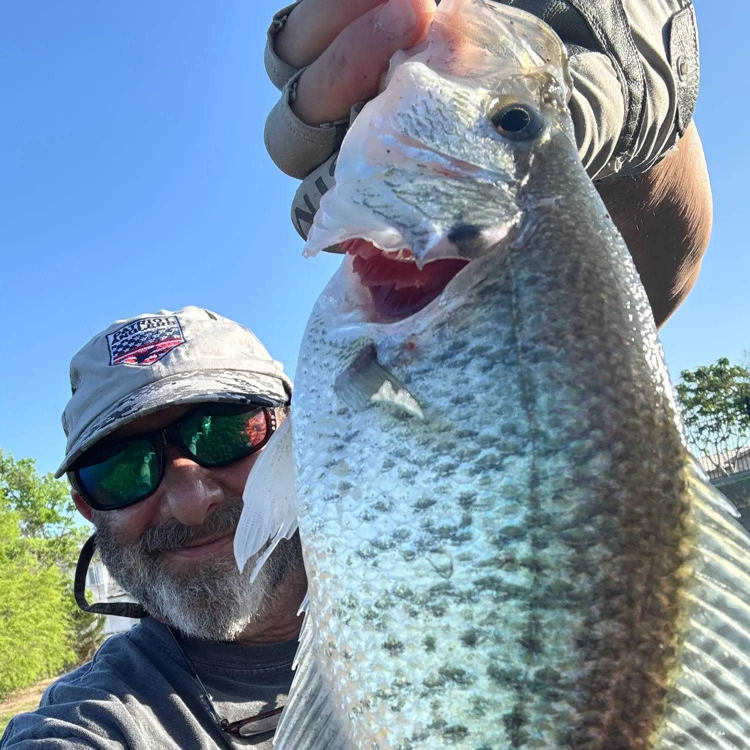 The most recent White crappie catches on Fishbrain