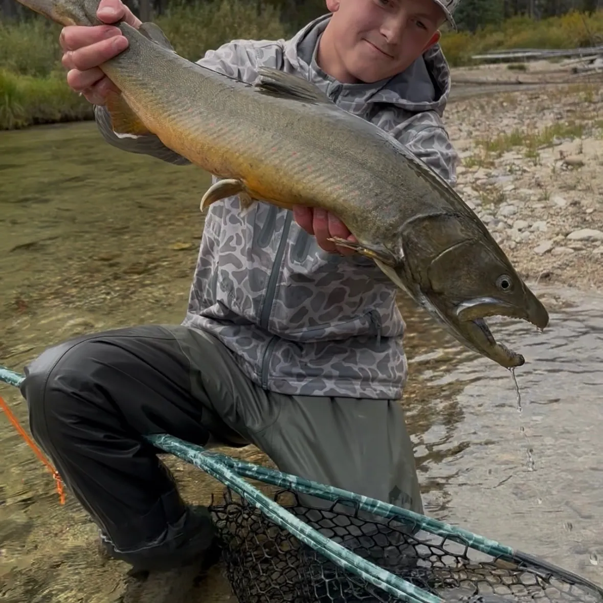 Bull trout caught on Fishbrain