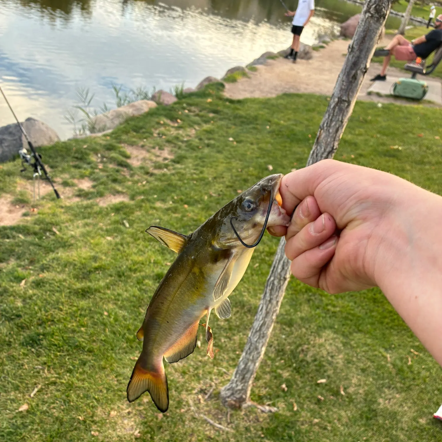 catch