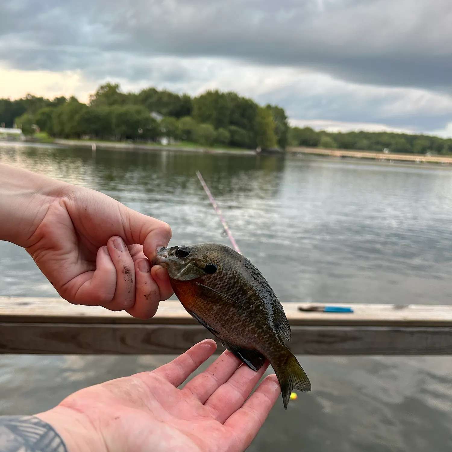catch