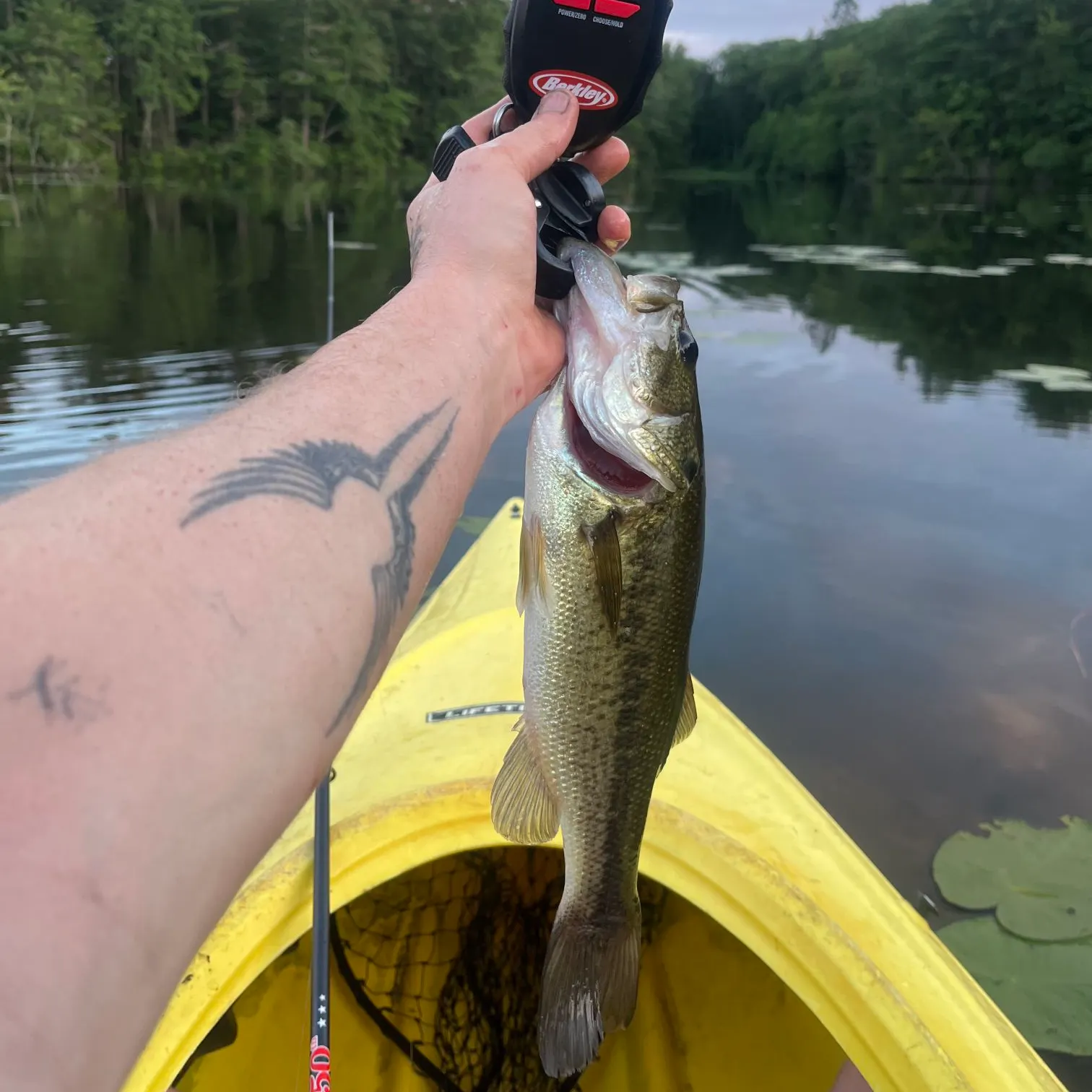 recently logged catches