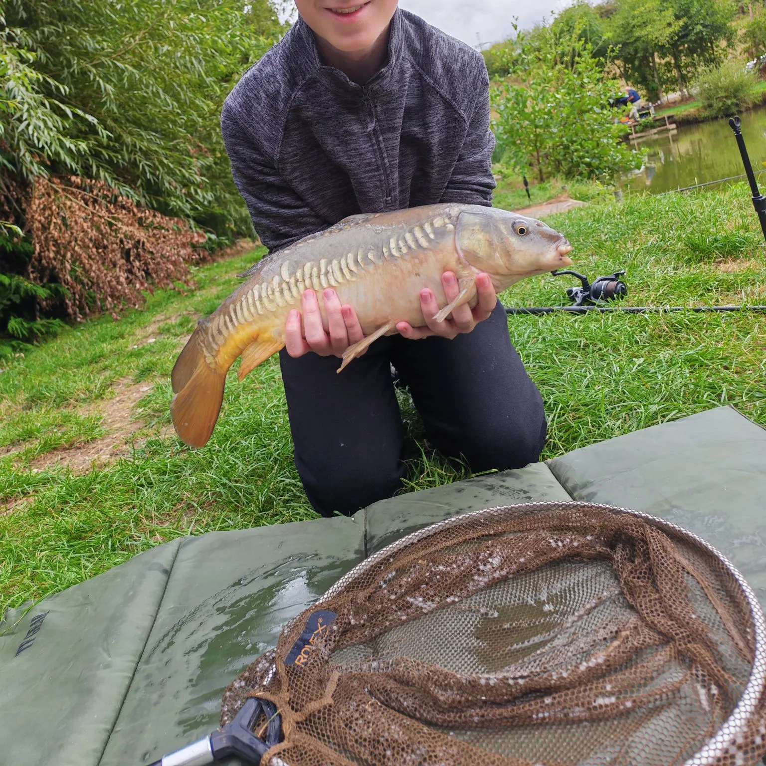 Mirror carp caught on Fishbrain