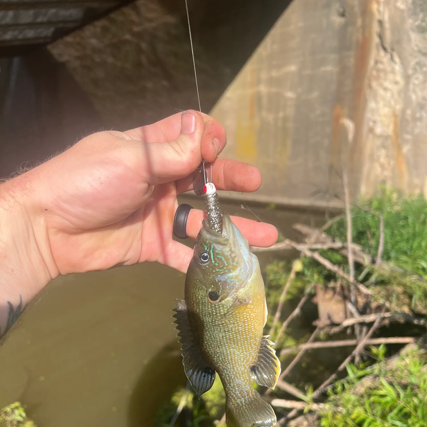 catch
