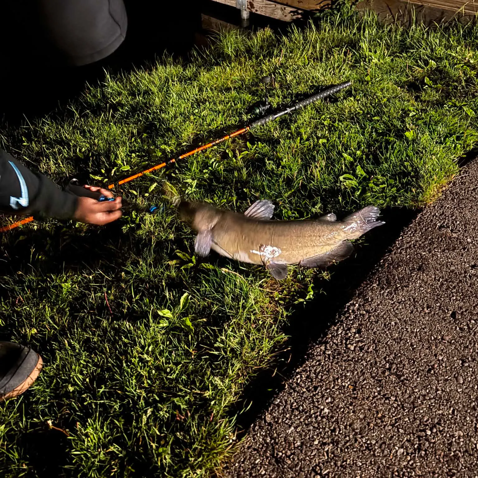 catch