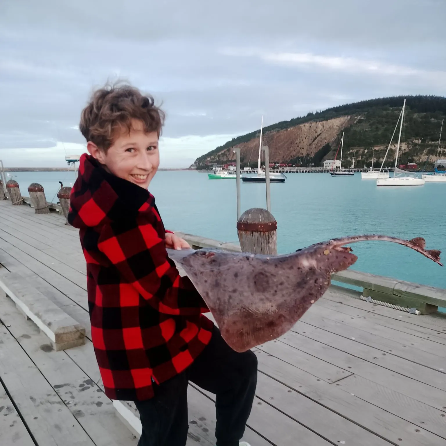 Bottlenosed skate caught on Fishbrain