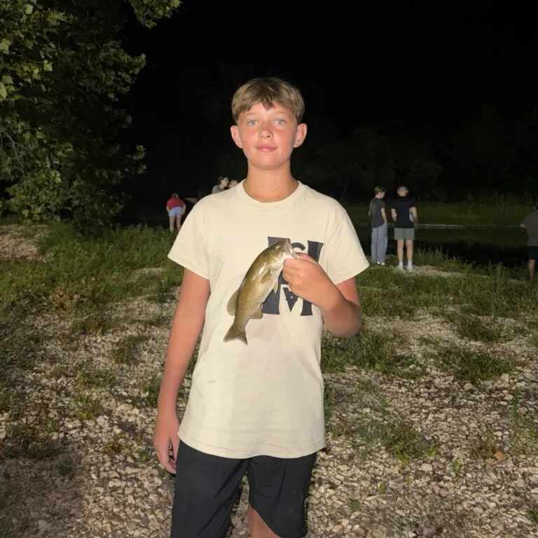 Smallmouth bass caught on Fishbrain