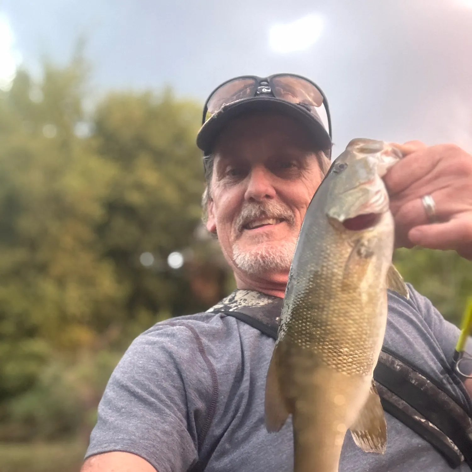 Smallmouth bass caught on Fishbrain