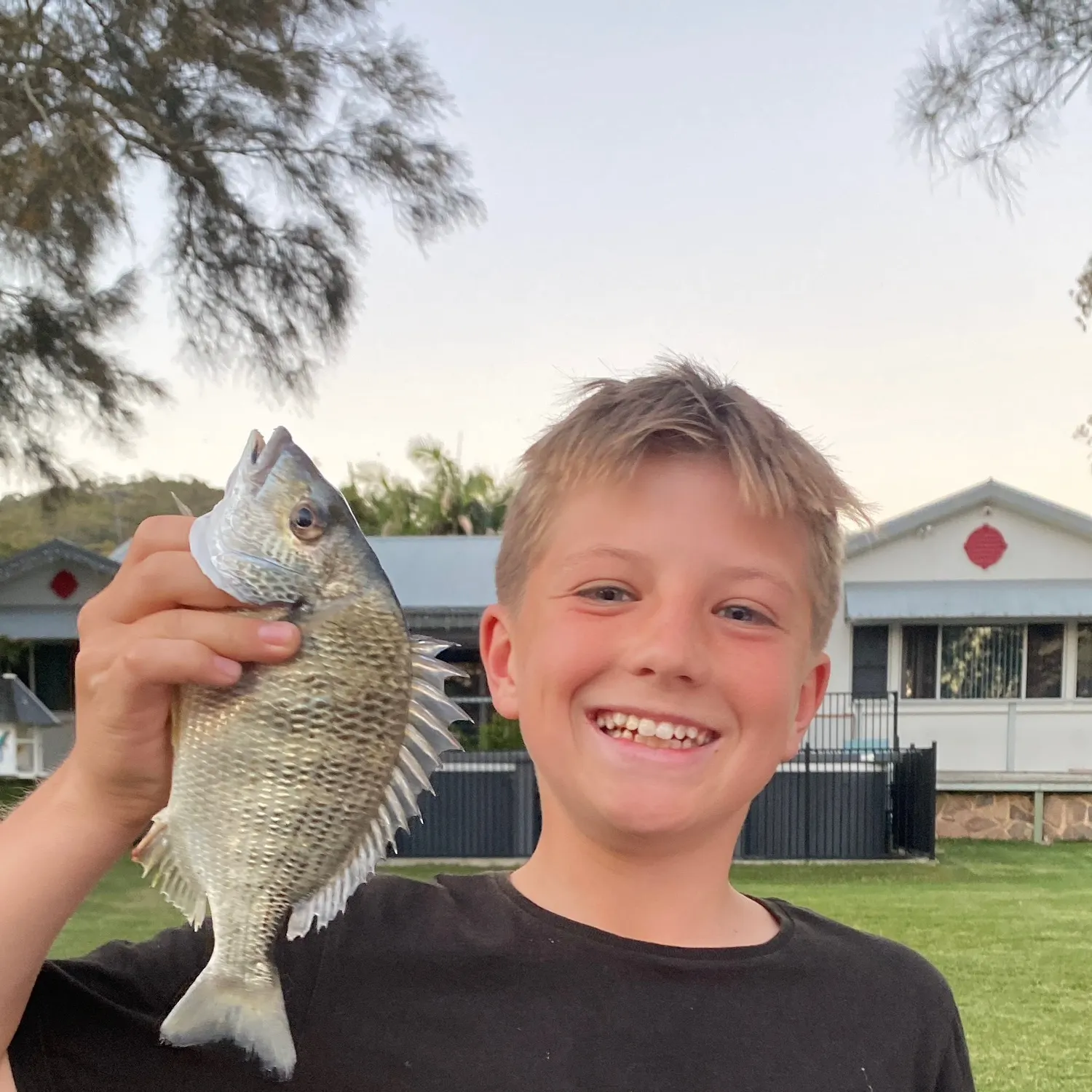 Surf bream caught on Fishbrain