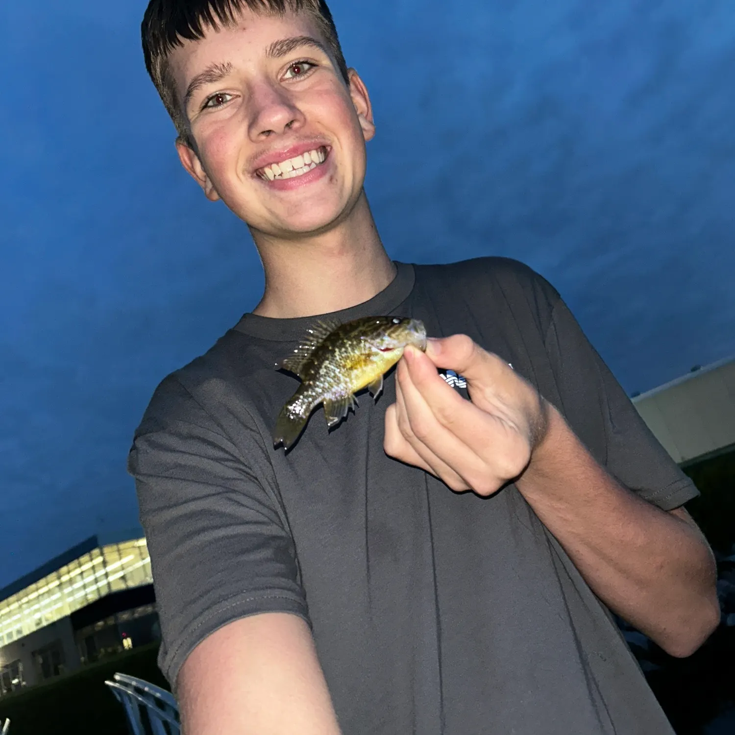 Pumpkinseed caught on Fishbrain