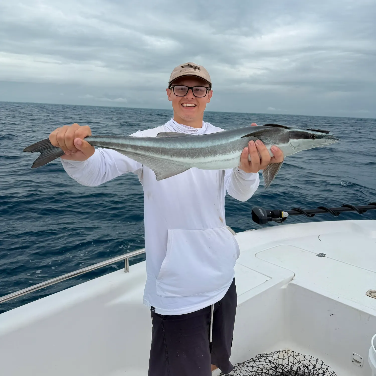 The most recent Common remora catches on Fishbrain