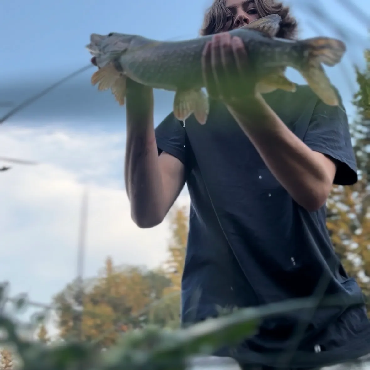 Northern pike caught on Fishbrain