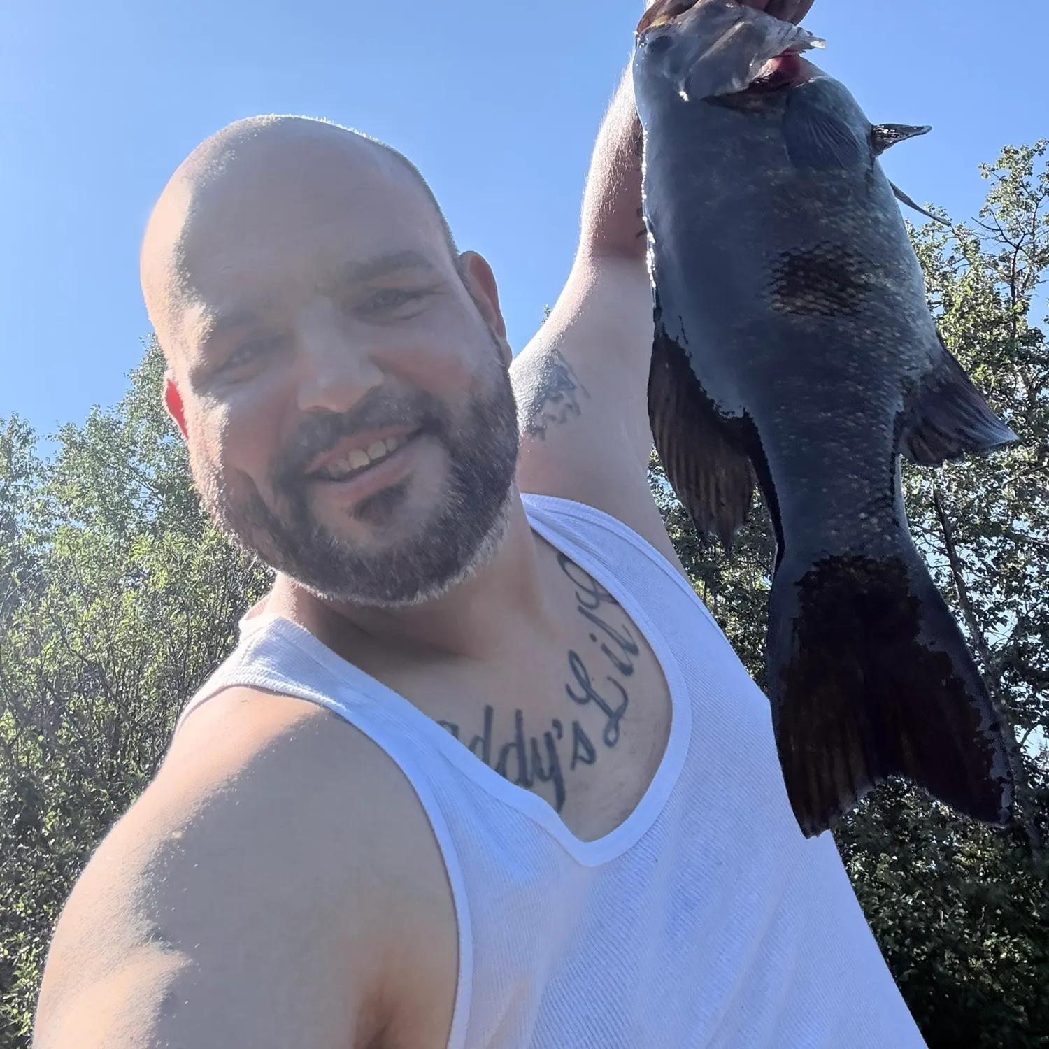 Smallmouth bass caught on Fishbrain