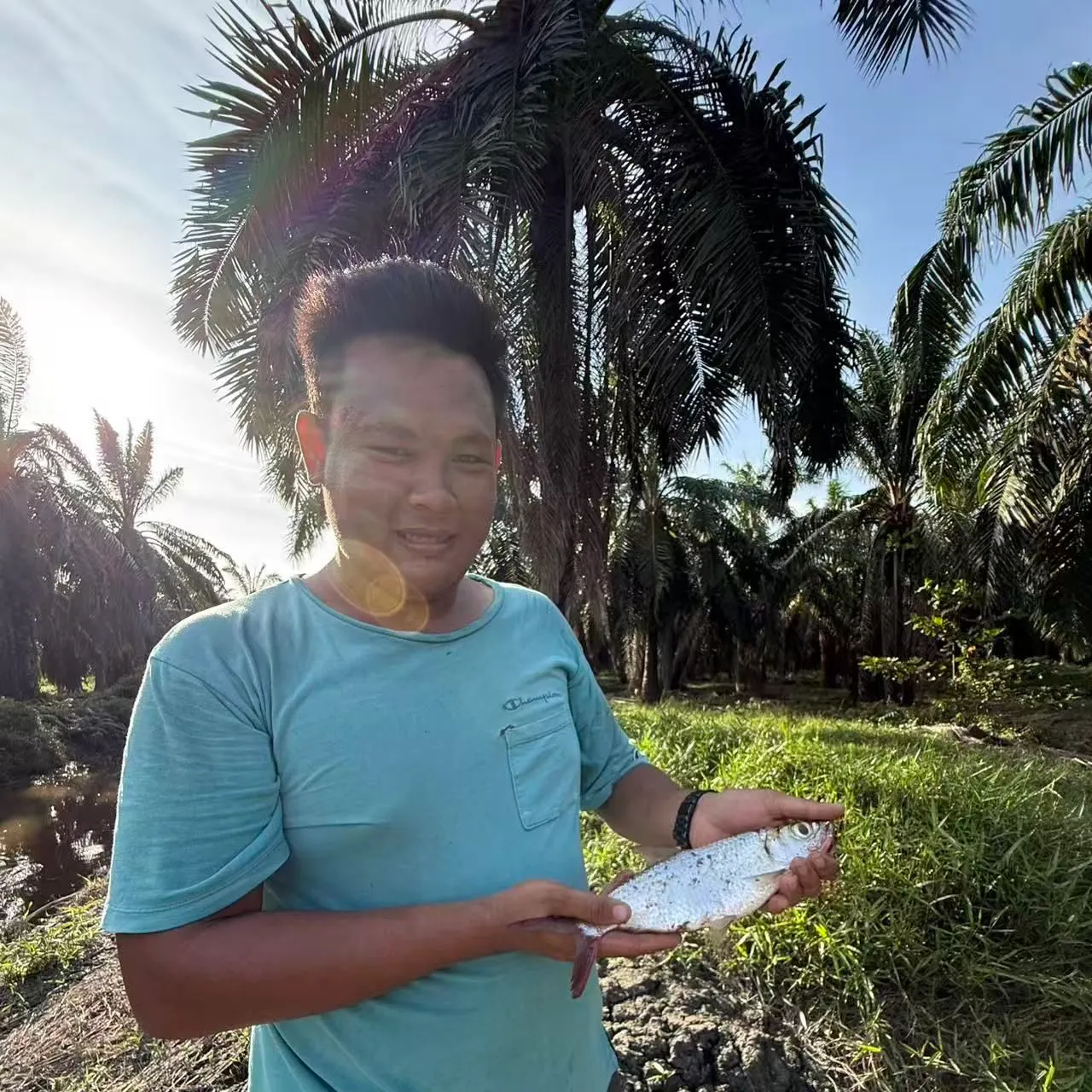 The most recent Indo-Pacific tarpon catches on Fishbrain