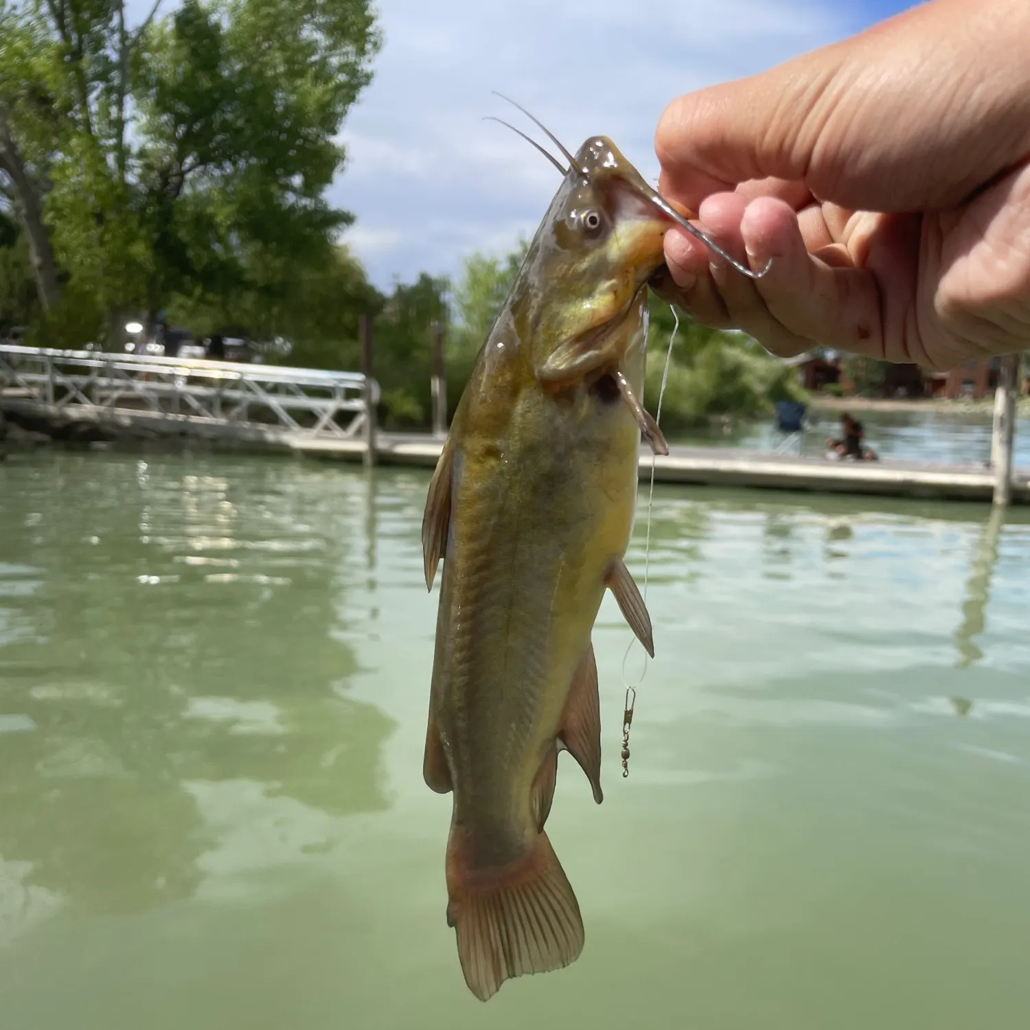 catch