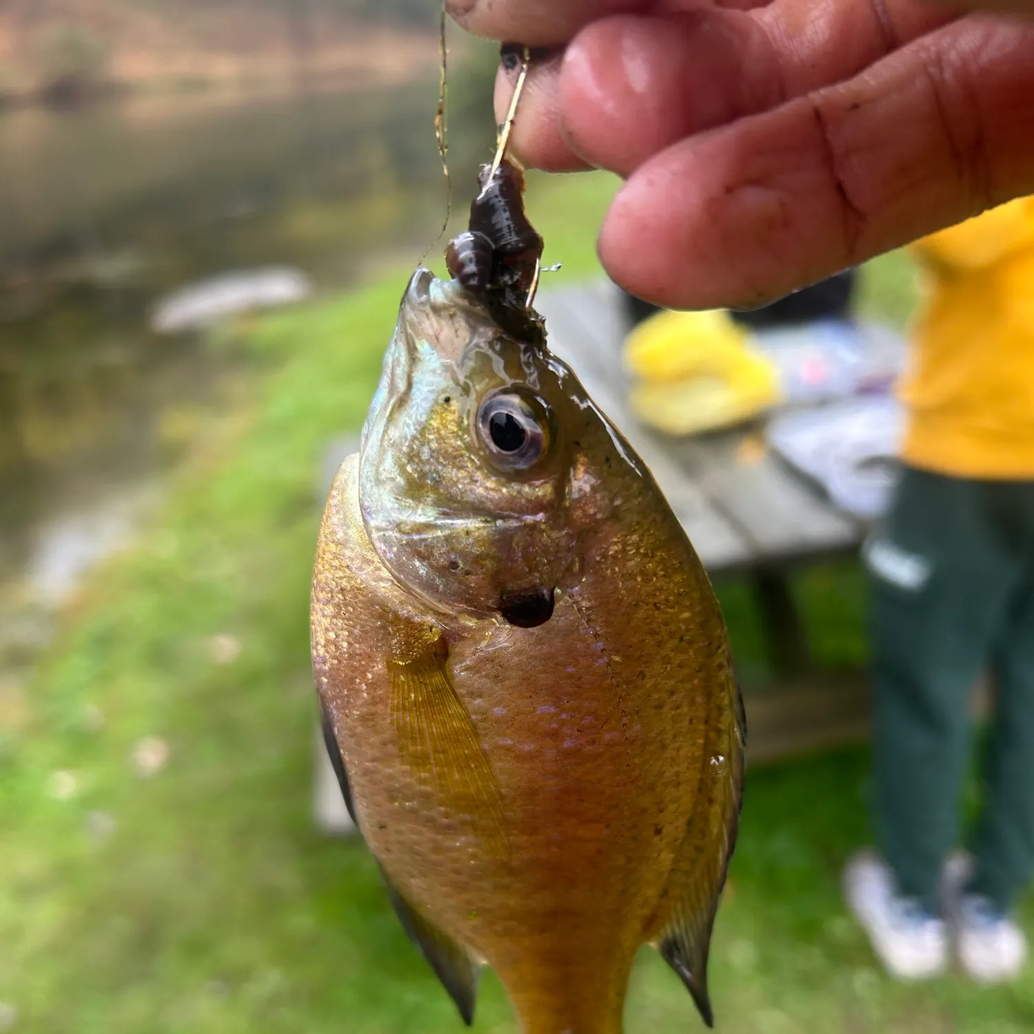 catch