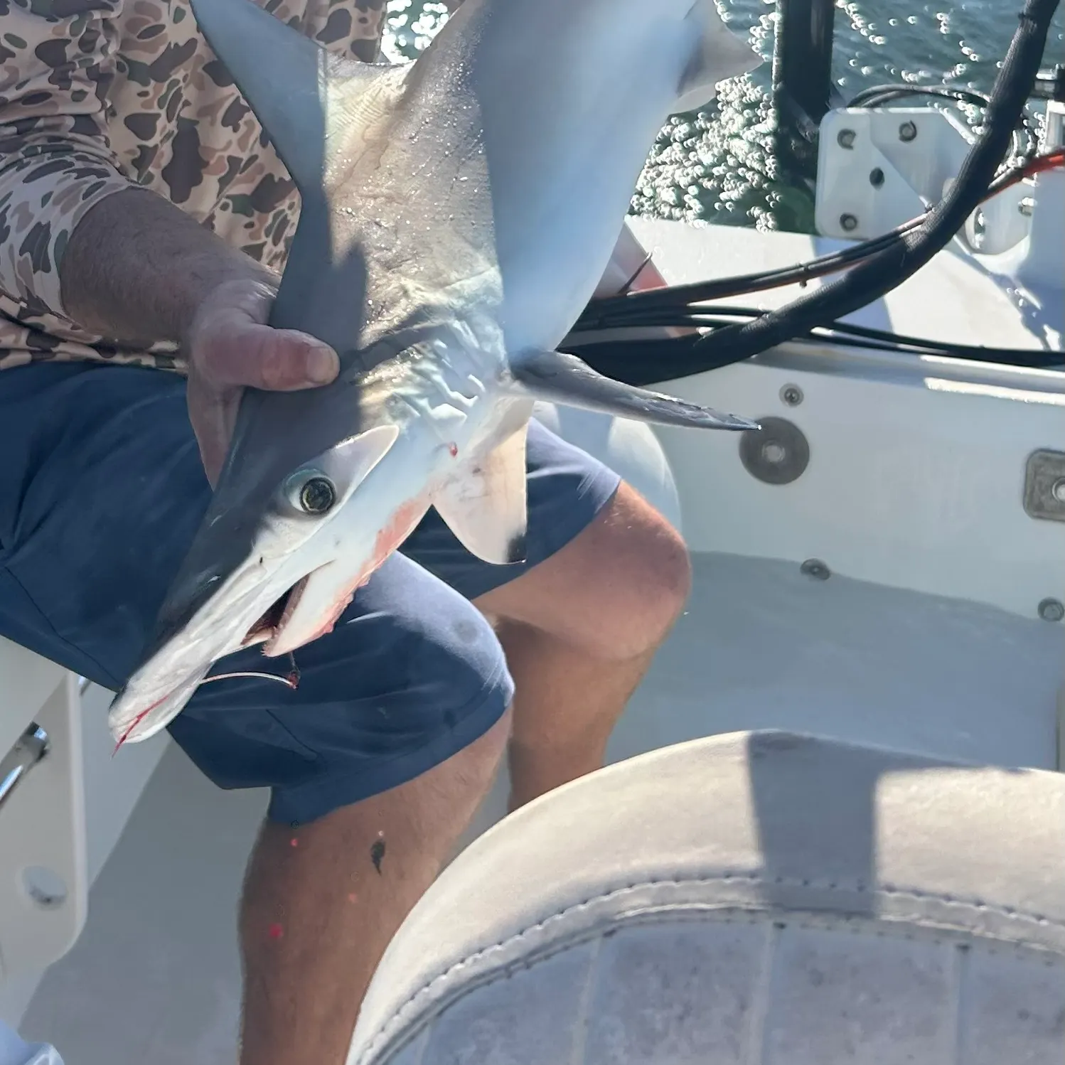 The most recent Great hammerhead shark catches on Fishbrain