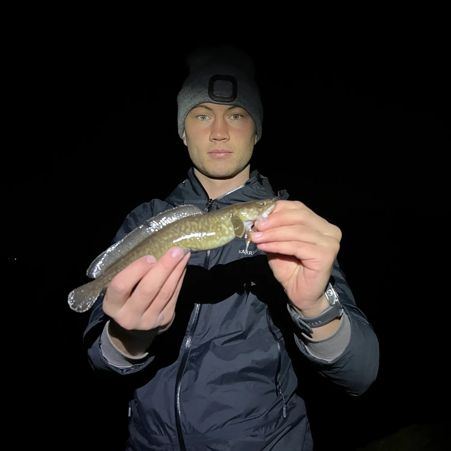 The most recent Red hake catches on Fishbrain