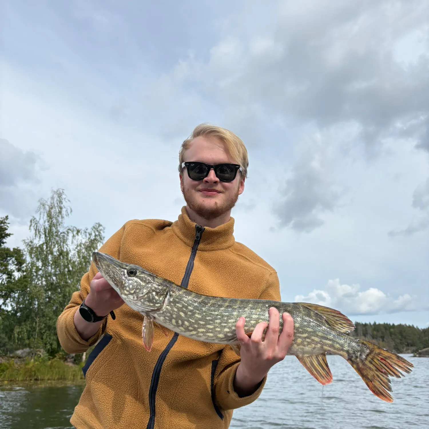 Northern pike caught on Fishbrain