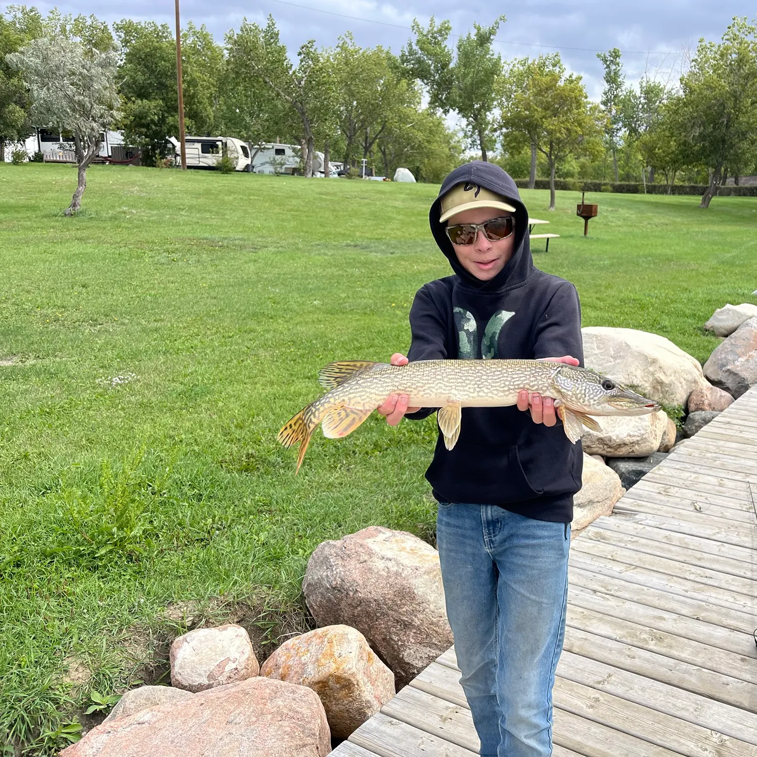 Northern pike caught on Fishbrain