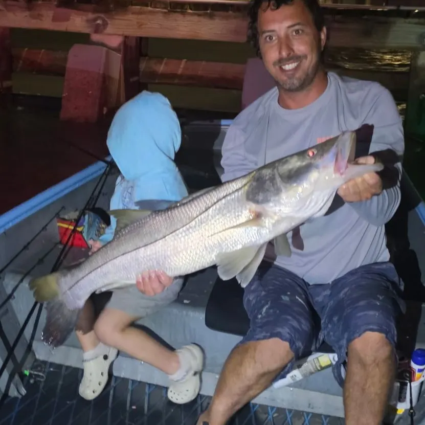 Common snook caught on Fishbrain