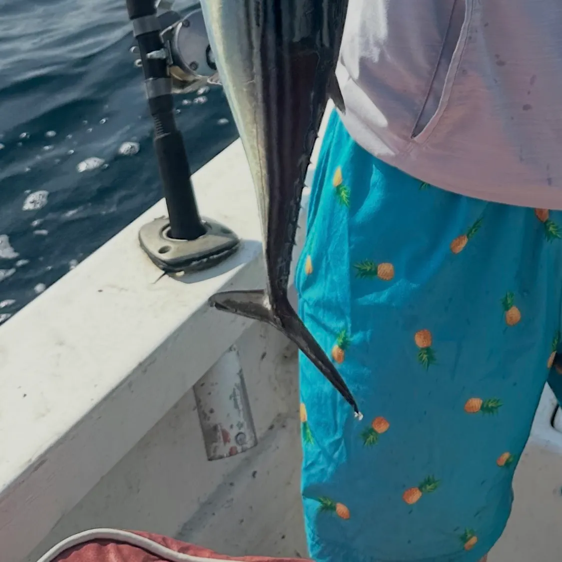 The most recent Skipjack tuna catches on Fishbrain