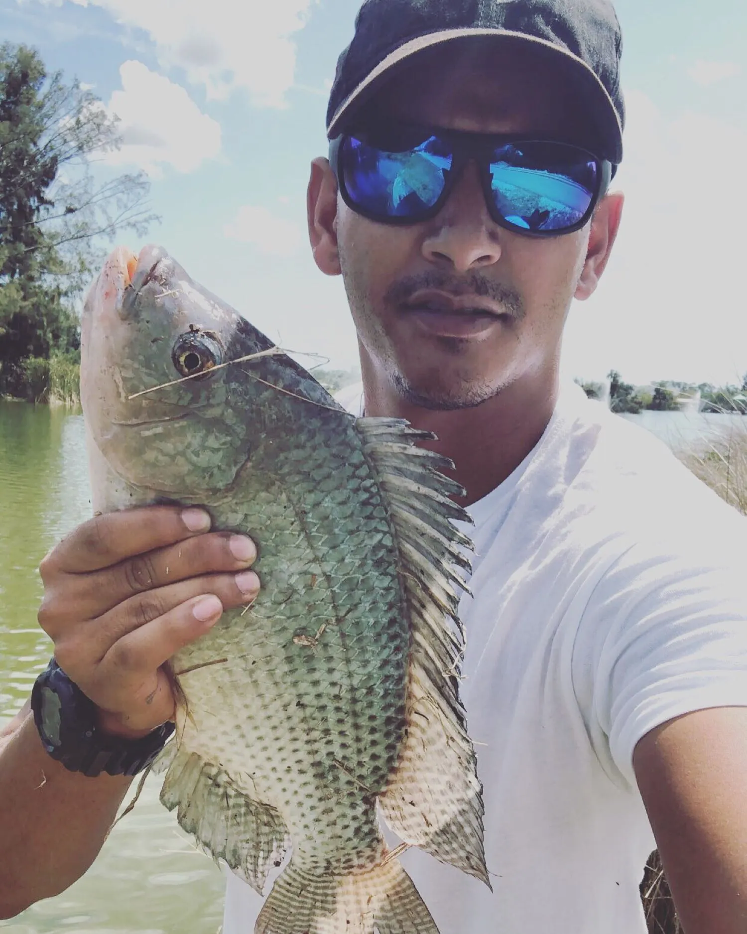 Post image from ncolon9570