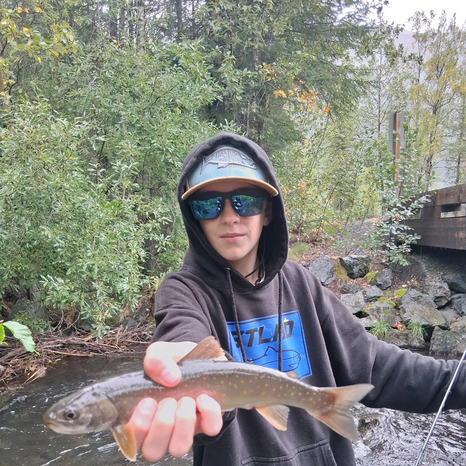 Dolly varden caught on Fishbrain