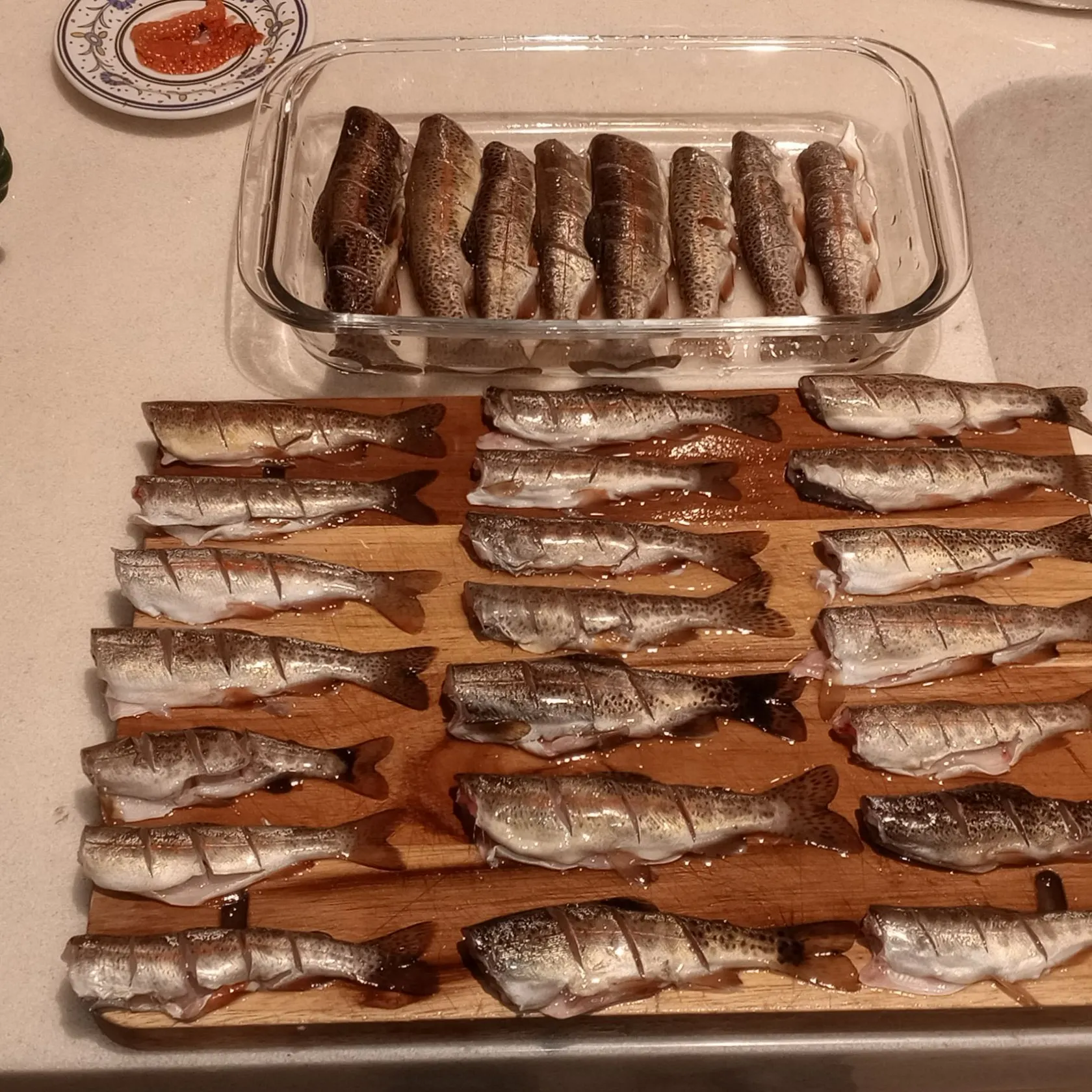 recently logged catches