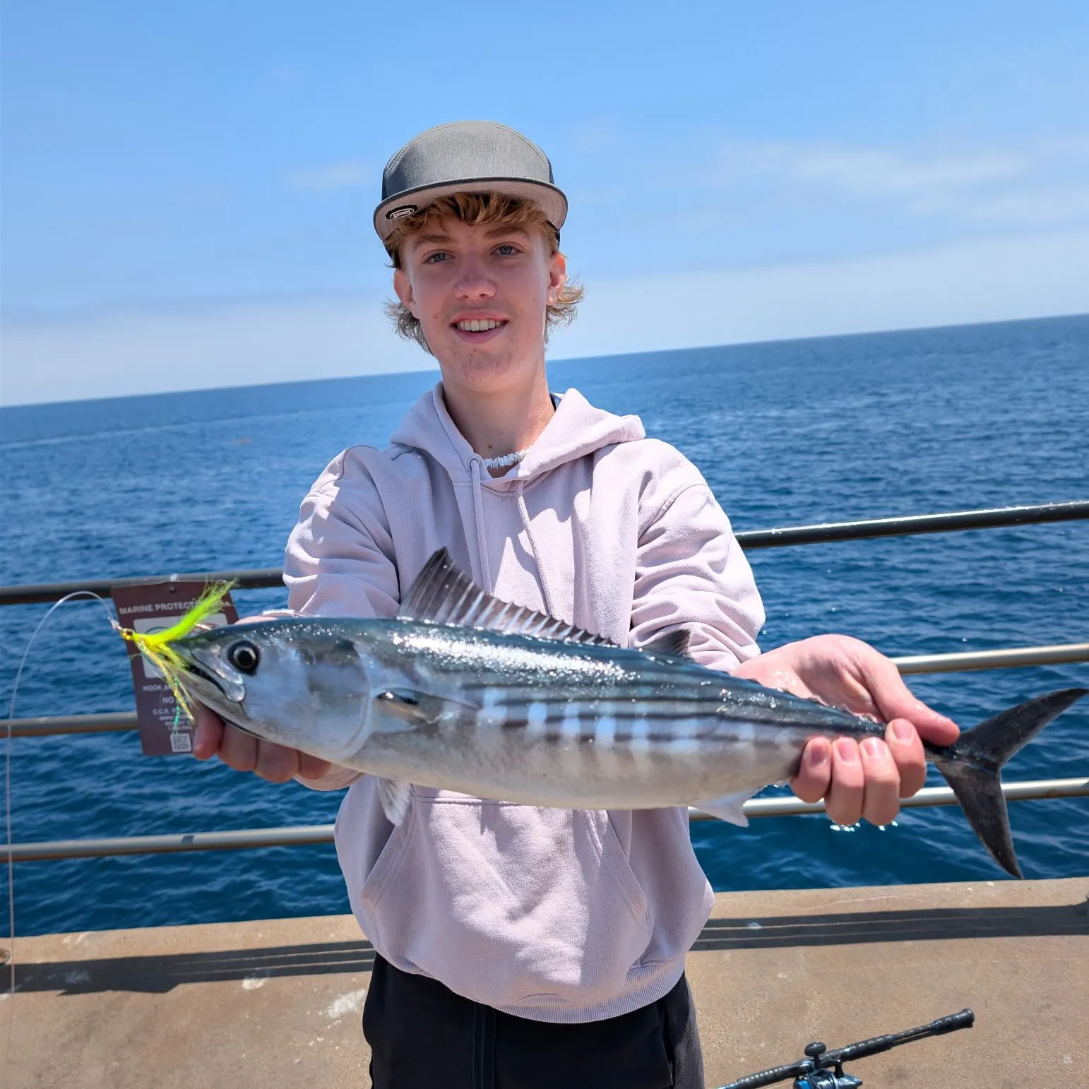 The most recent Pacific bonito catches on Fishbrain