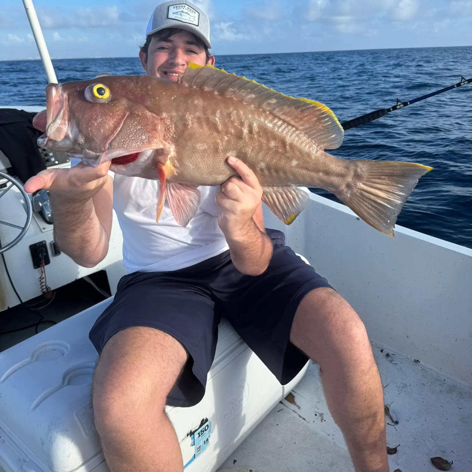 The most popular recent Yellowedge grouper catch on Fishbrain