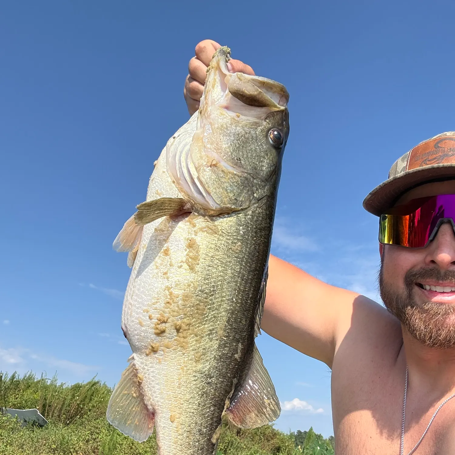 Largemouth bass caught on Fishbrain