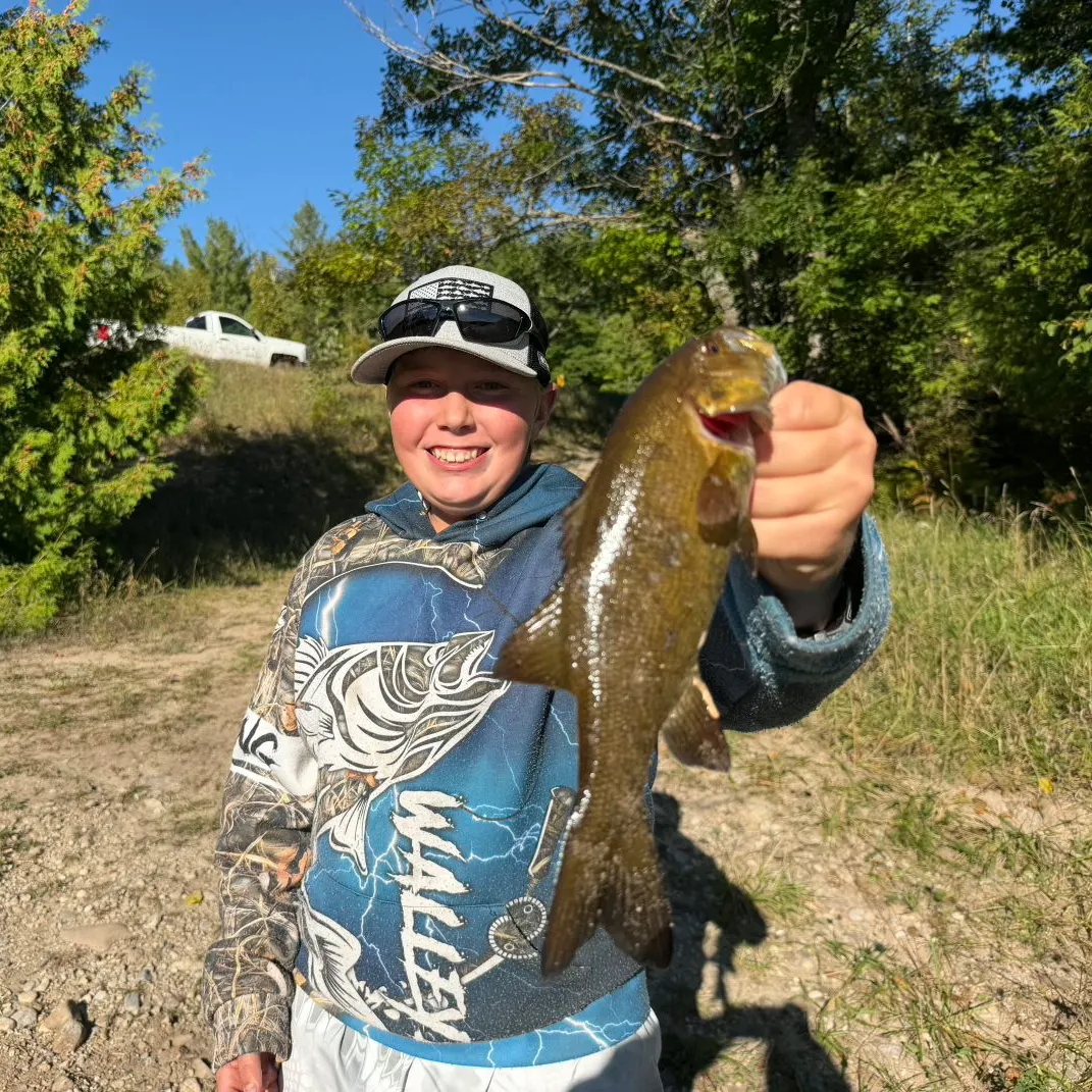 Smallmouth bass caught on Fishbrain