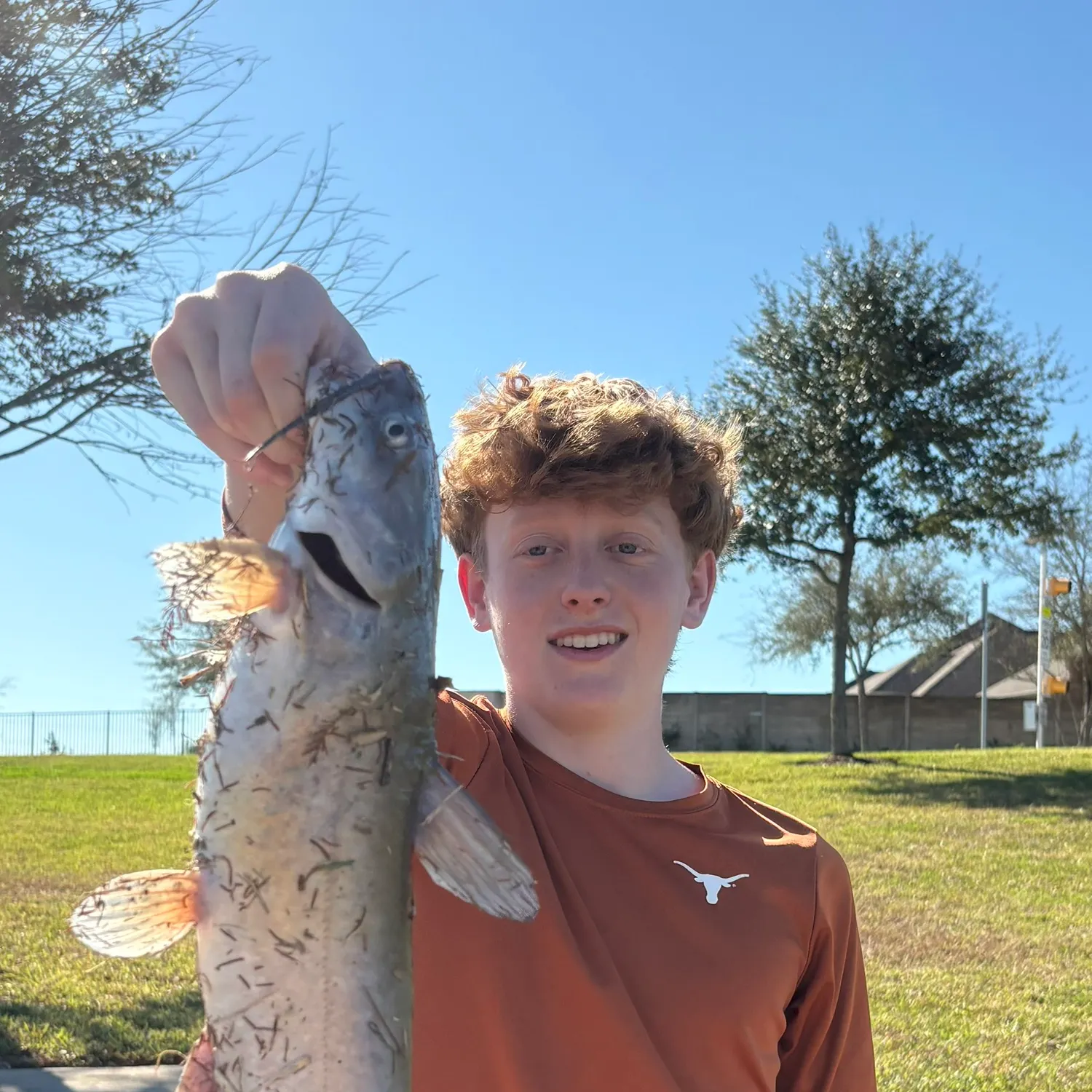 The most recent Channel catfish catches on Fishbrain