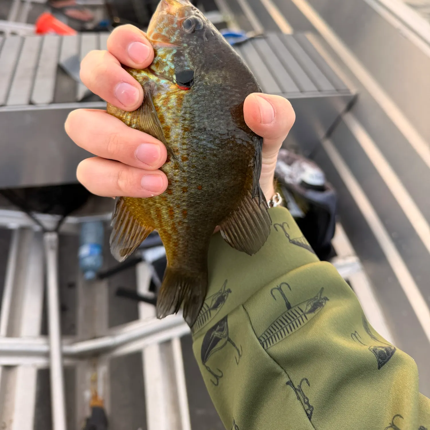Pumpkinseed caught on Fishbrain