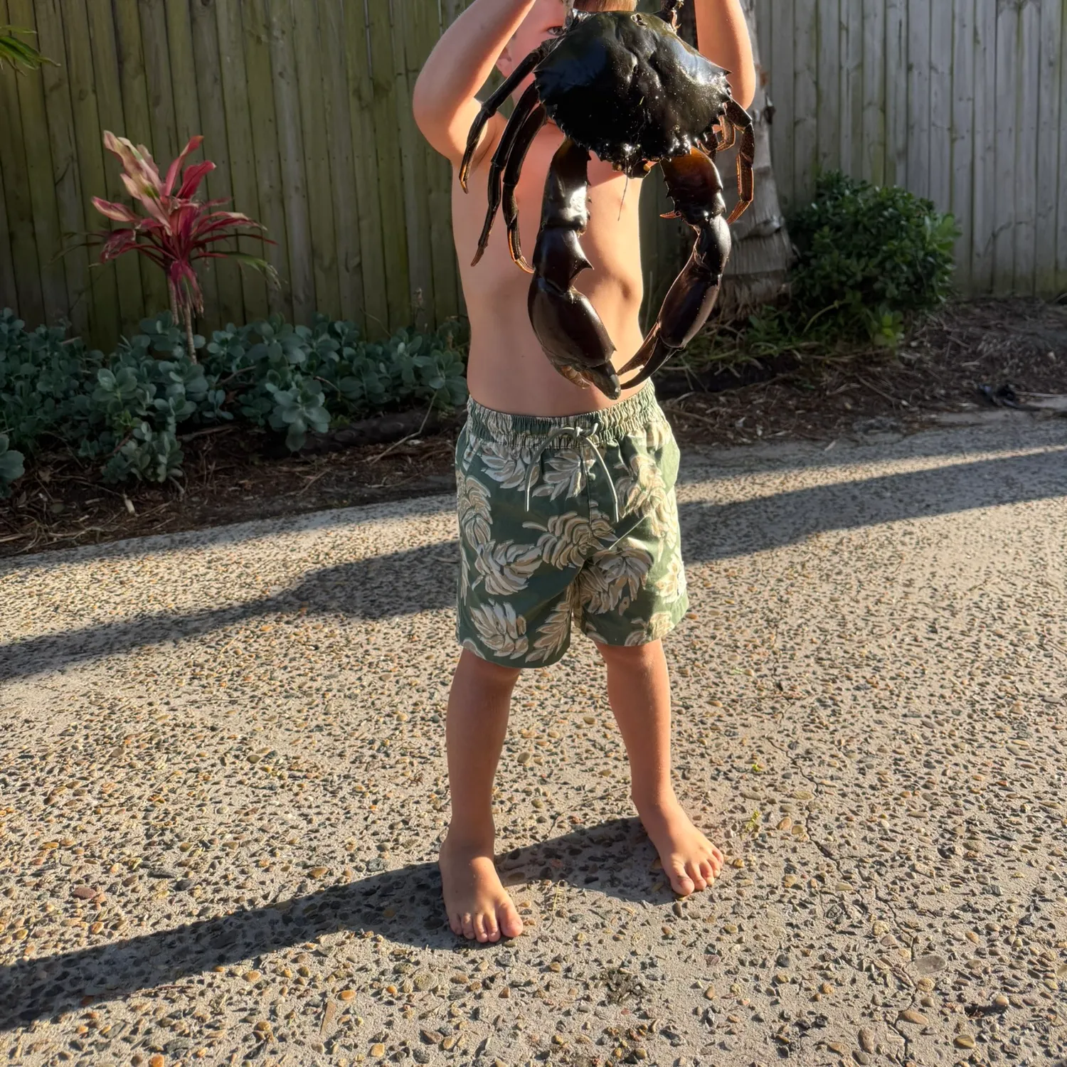 The most recent Giant mud crab catches on Fishbrain